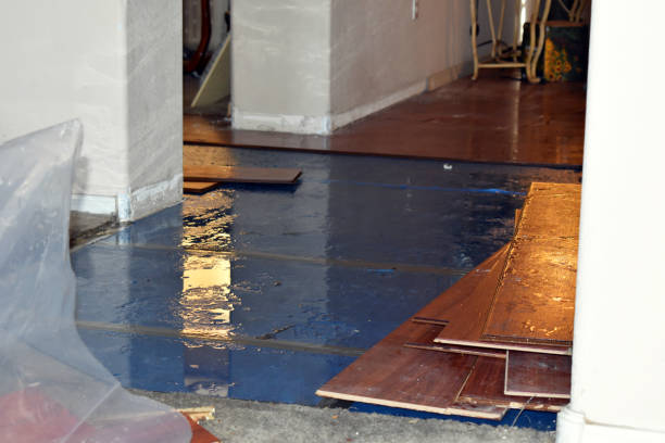 Professional Water Damage Restoration technician working in Perry, KS